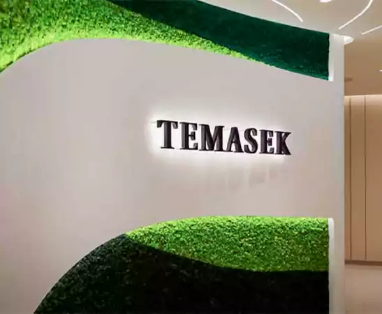 Temasek International